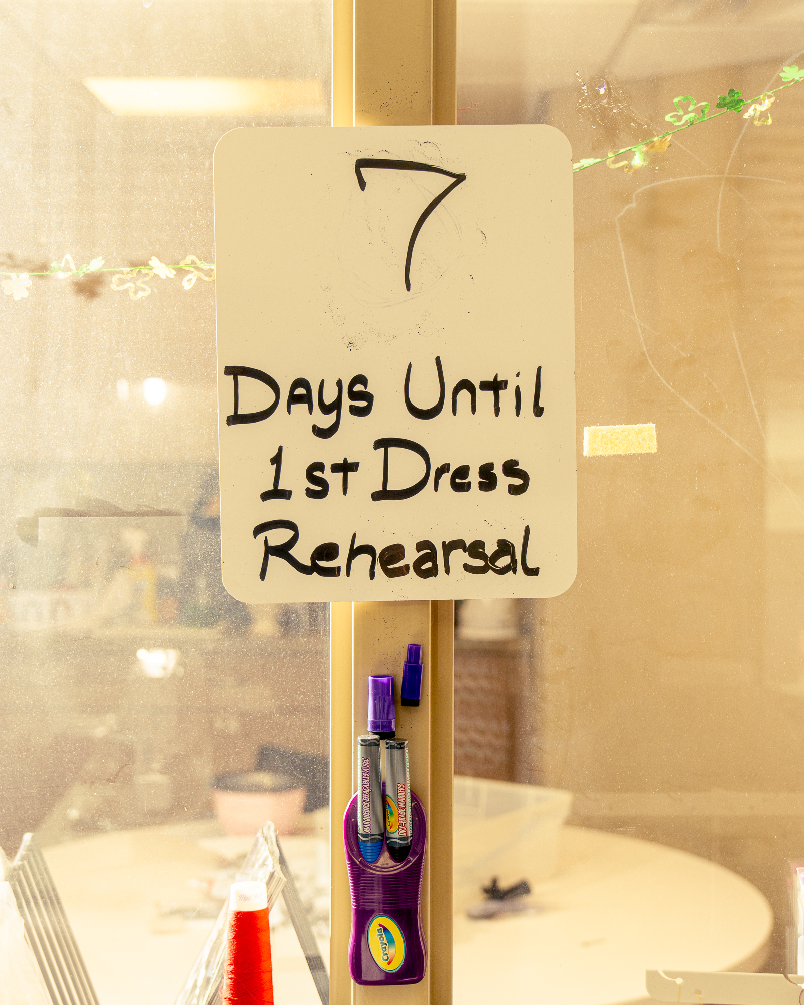 DetroitOperaCostumers.NikiWilliams